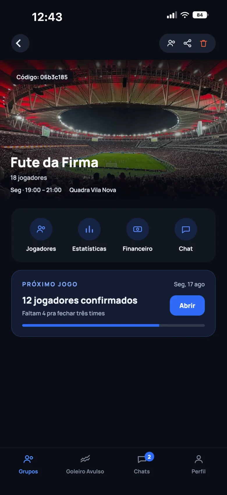 Tela do grupo com jogadores, estatísticas, financeiro e chat